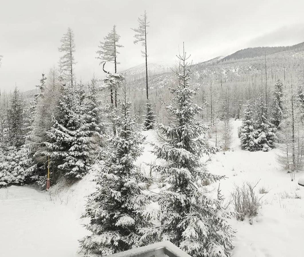 Ubytovanie Pod Gerlachom Vysoké Tatry Exterior foto
